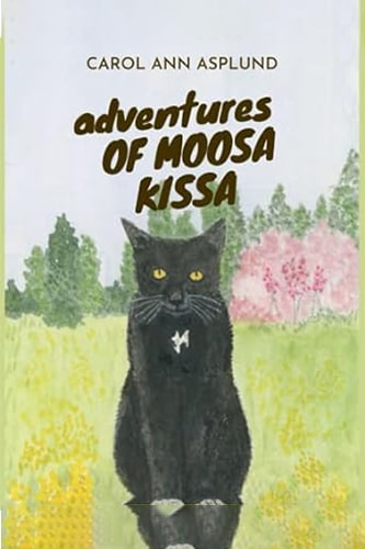 ADVENTURES OF MOOSA KISSA
